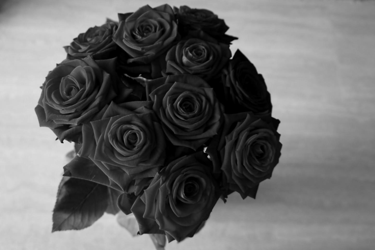 Customer support representative helping with flower delivery issue